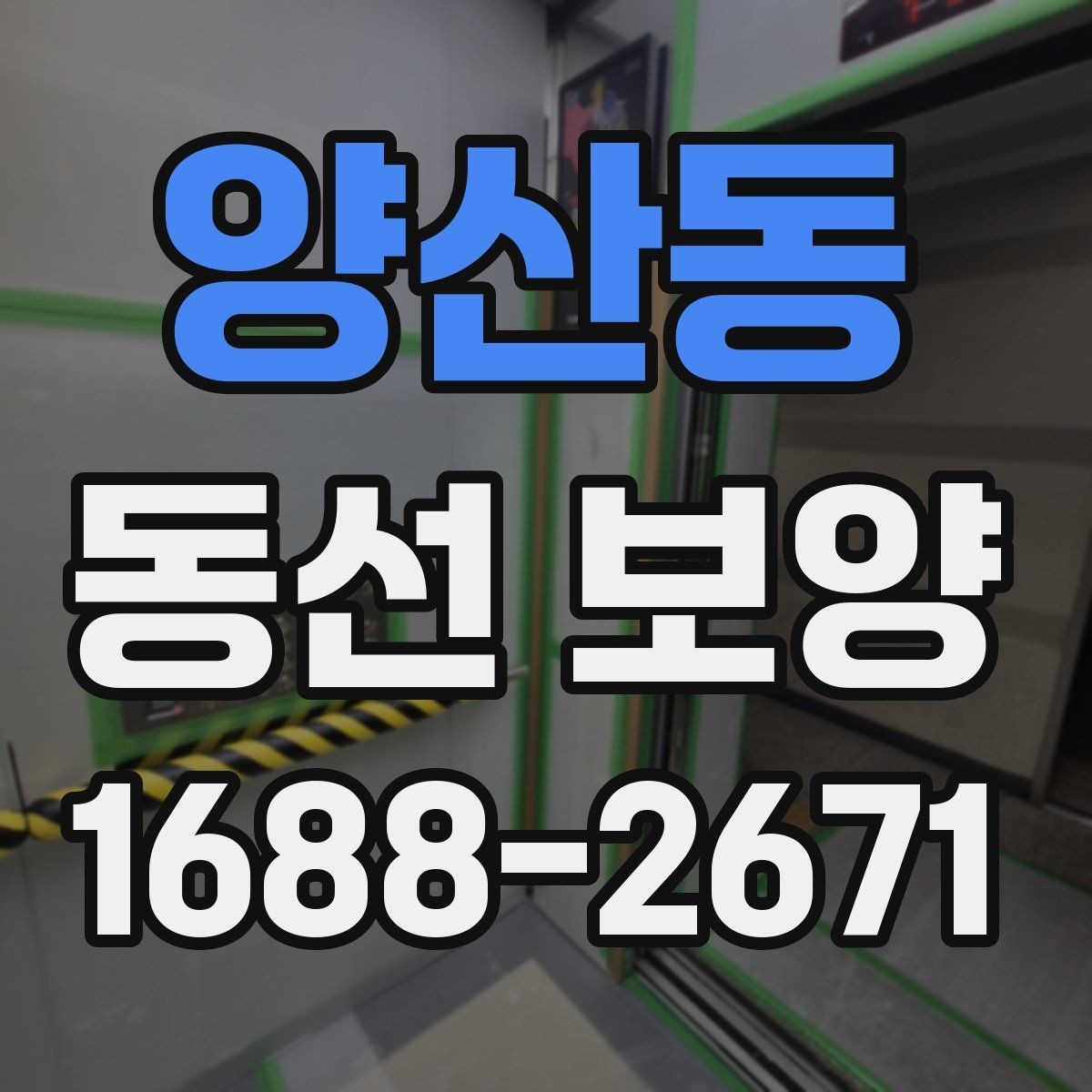 양산동 동선 보양 자재별 활용처와 선택 팁