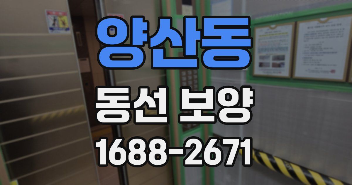양산동 동선 보양