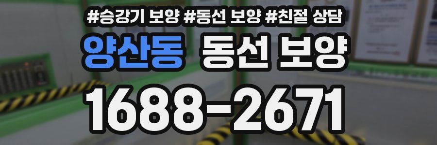양산동 동선 보양