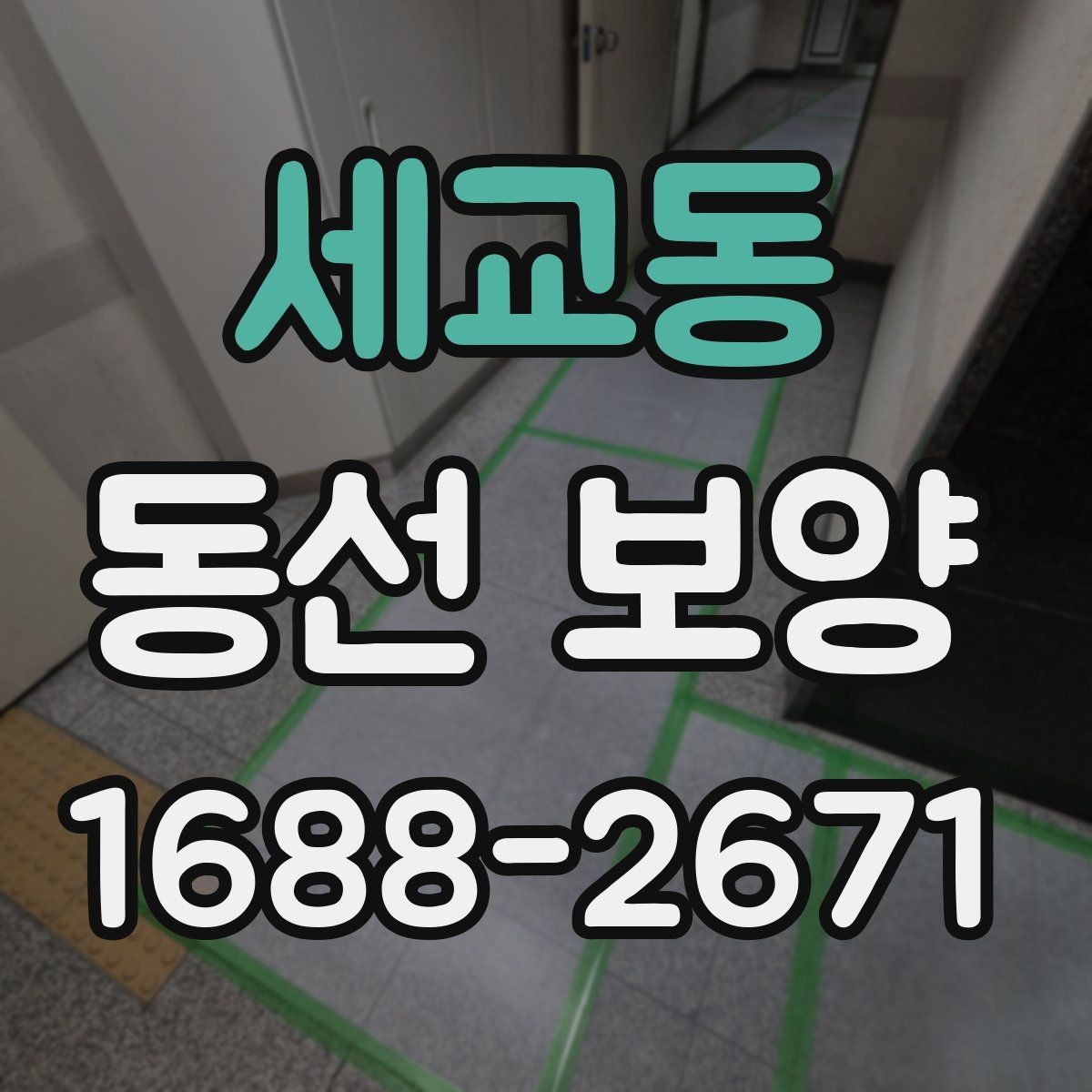 세교동 동선 보양 선택 전 확인하면 좋은 기준