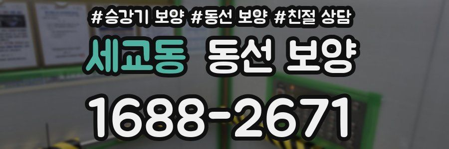세교동 동선 보양