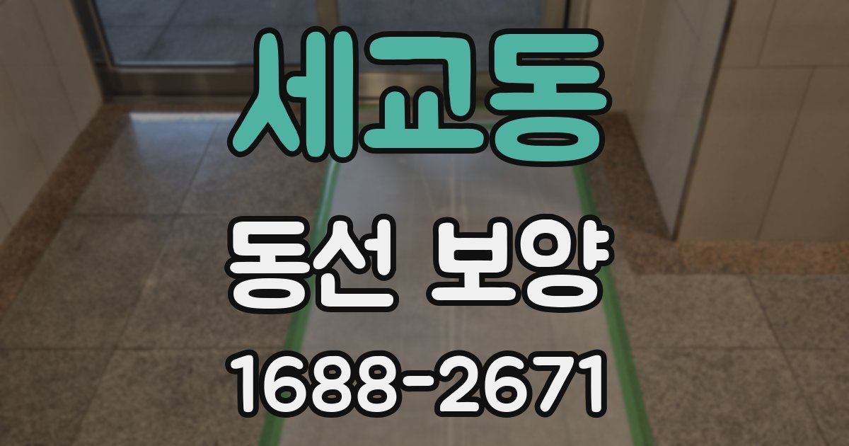 세교동 동선 보양