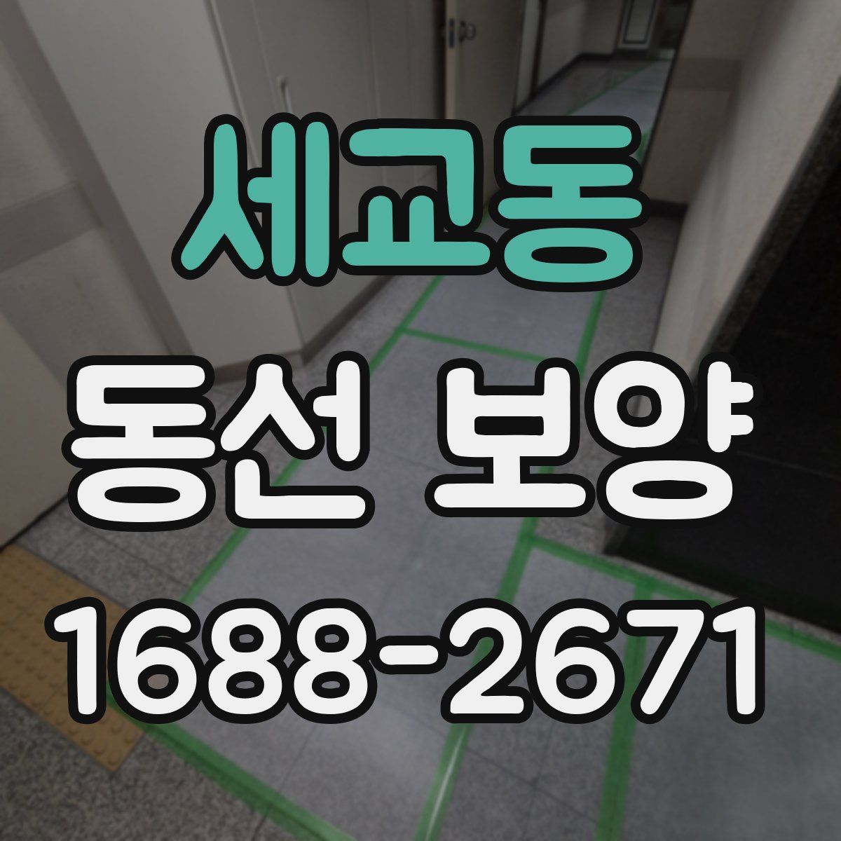 세교동 동선 보양
