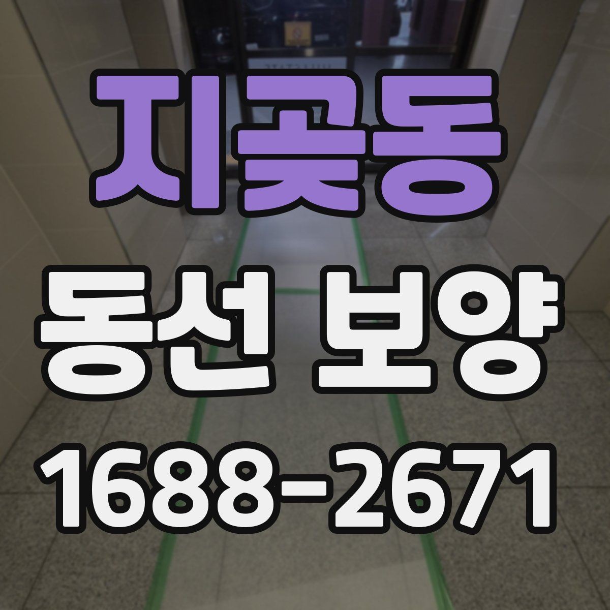 지곶동 동선 보양 자재 비용과 품질의 관계