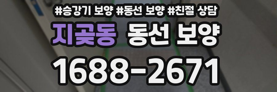 지곶동 동선 보양