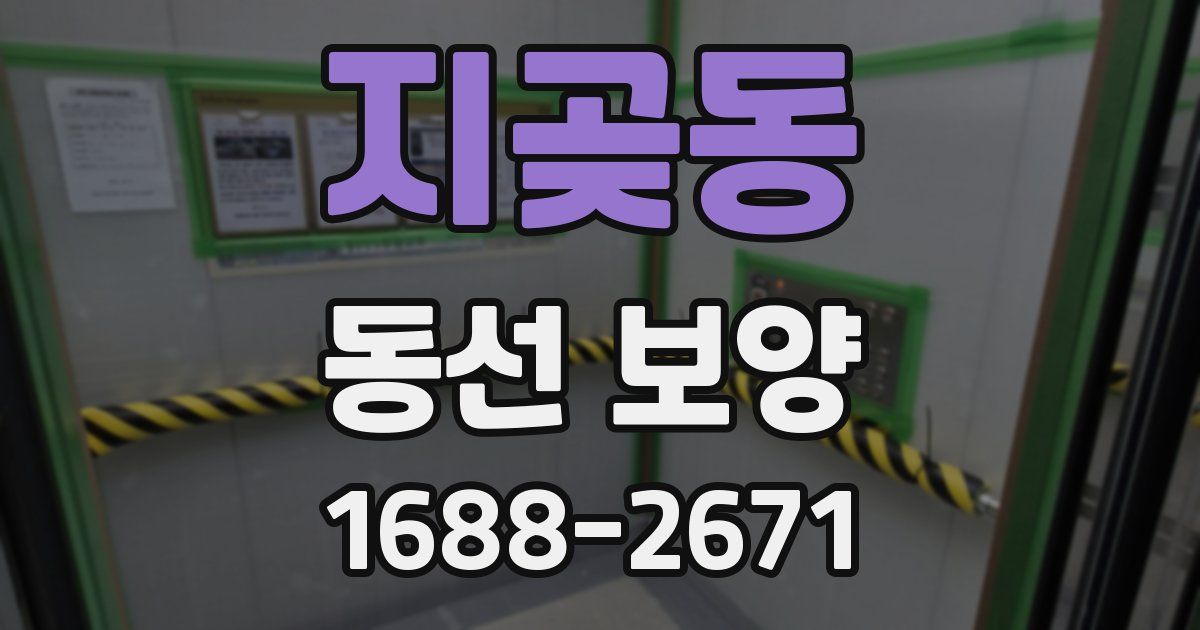 지곶동 동선 보양
