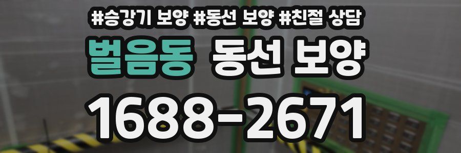 벌음동 동선 보양