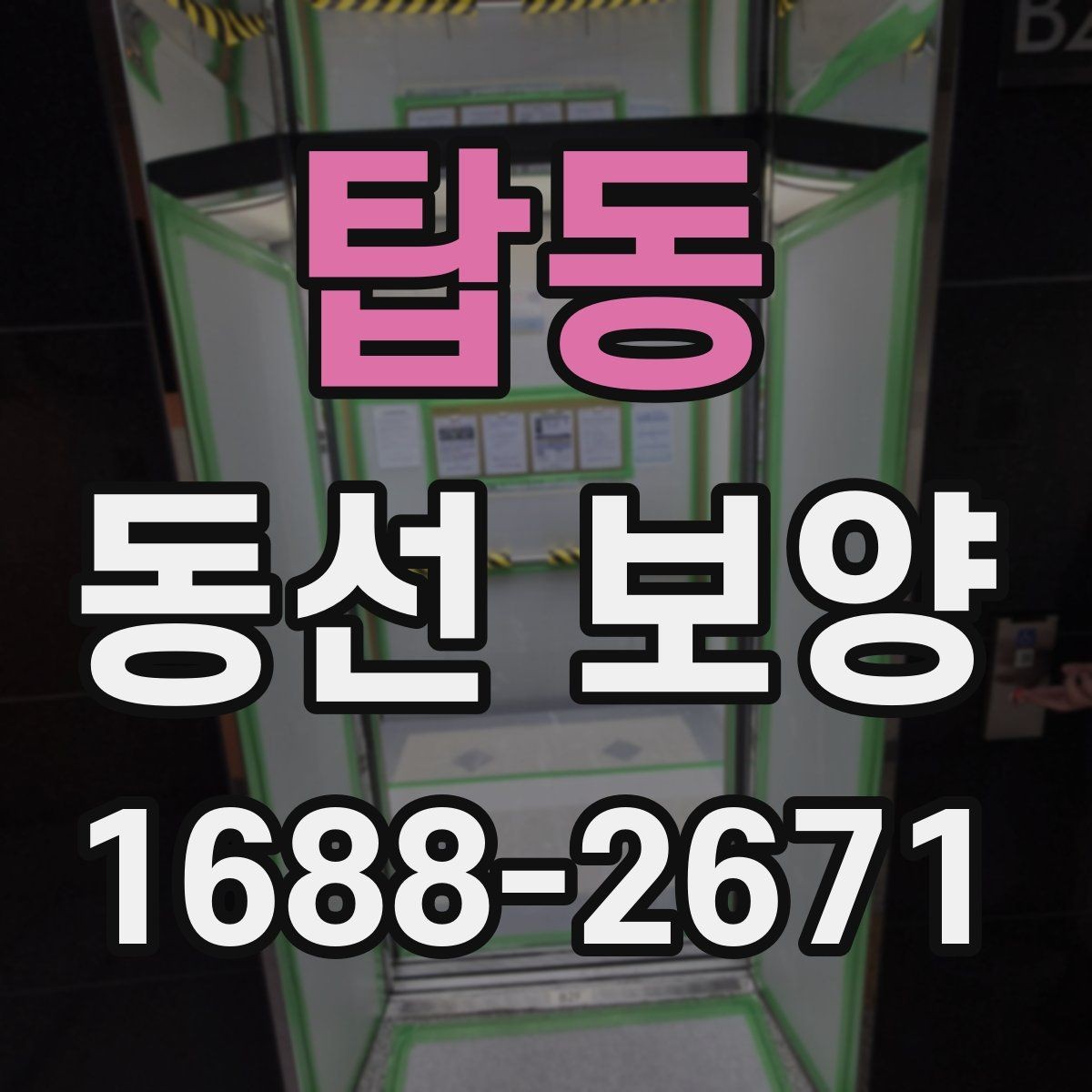 탑동 동선 보양 전 점검해야 할 하자와 위험 요소