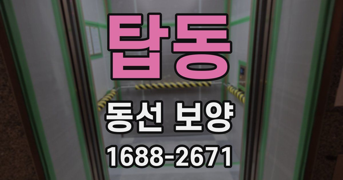 탑동 동선 보양