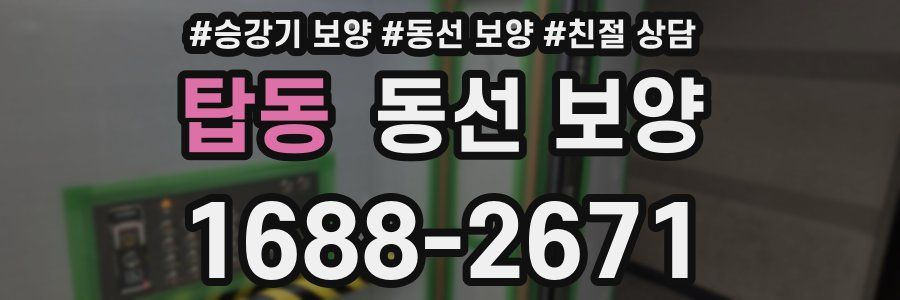 탑동 동선 보양