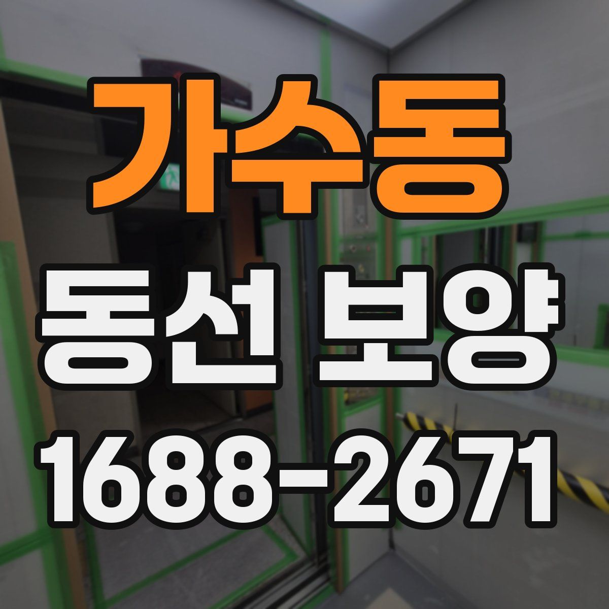 가수동 동선 보양