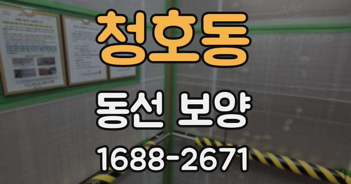 청호동 동선 보양
