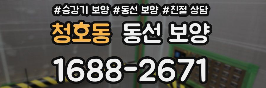 청호동 동선 보양