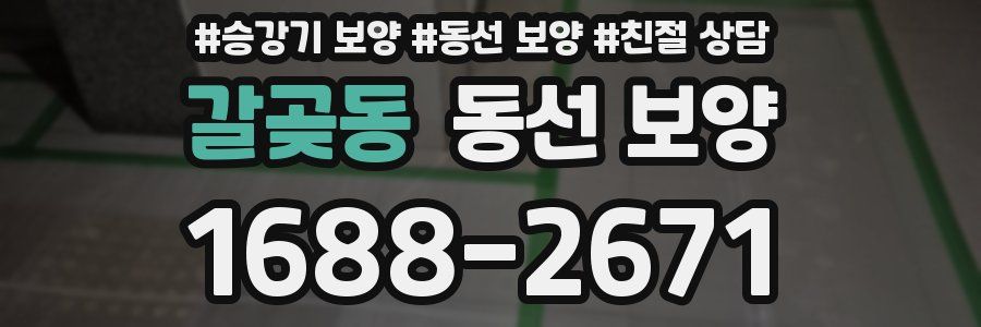 갈곶동 동선 보양