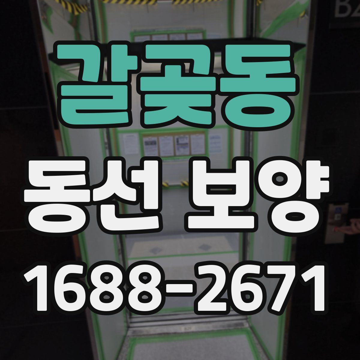 갈곶동 동선 보양