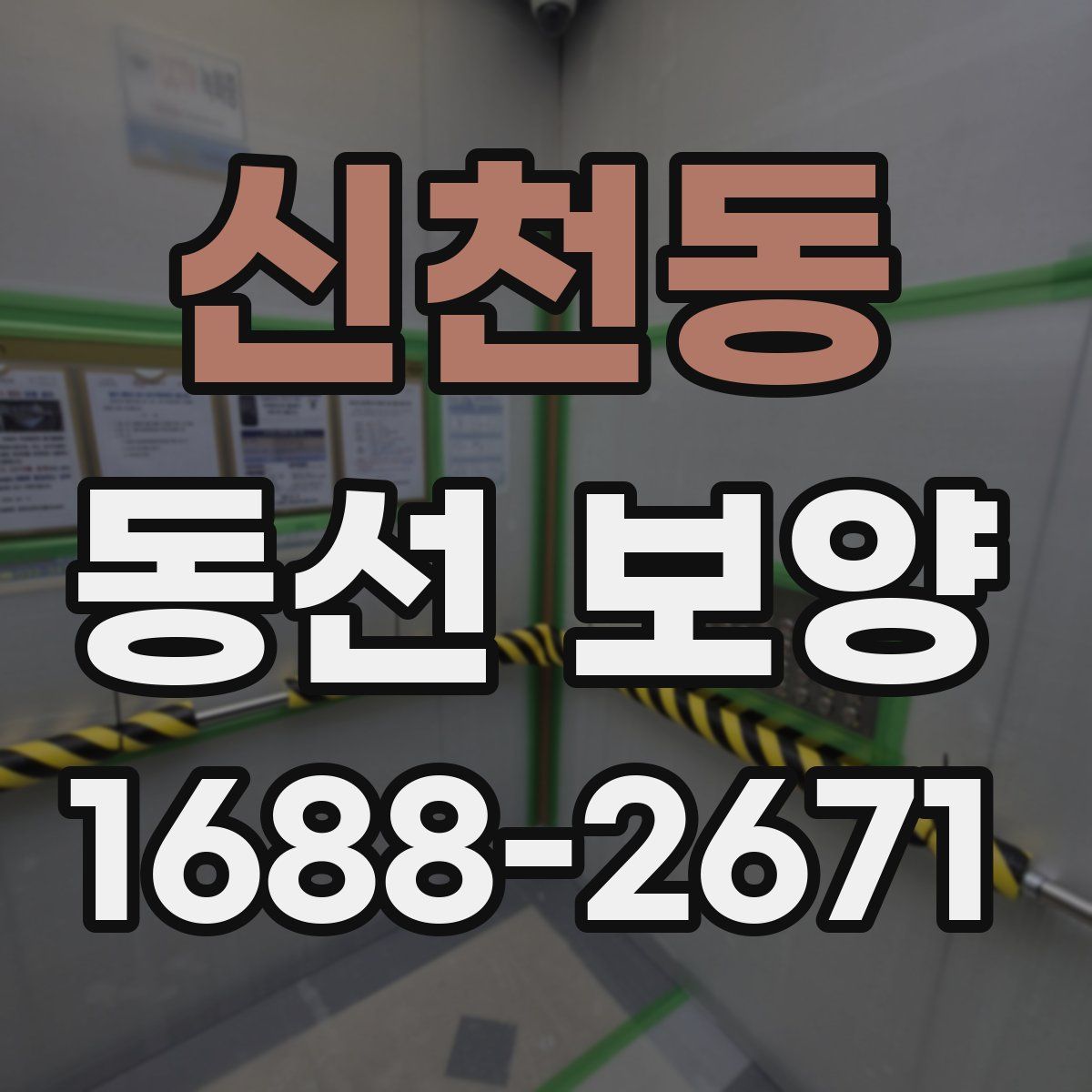 신천동 동선 보양