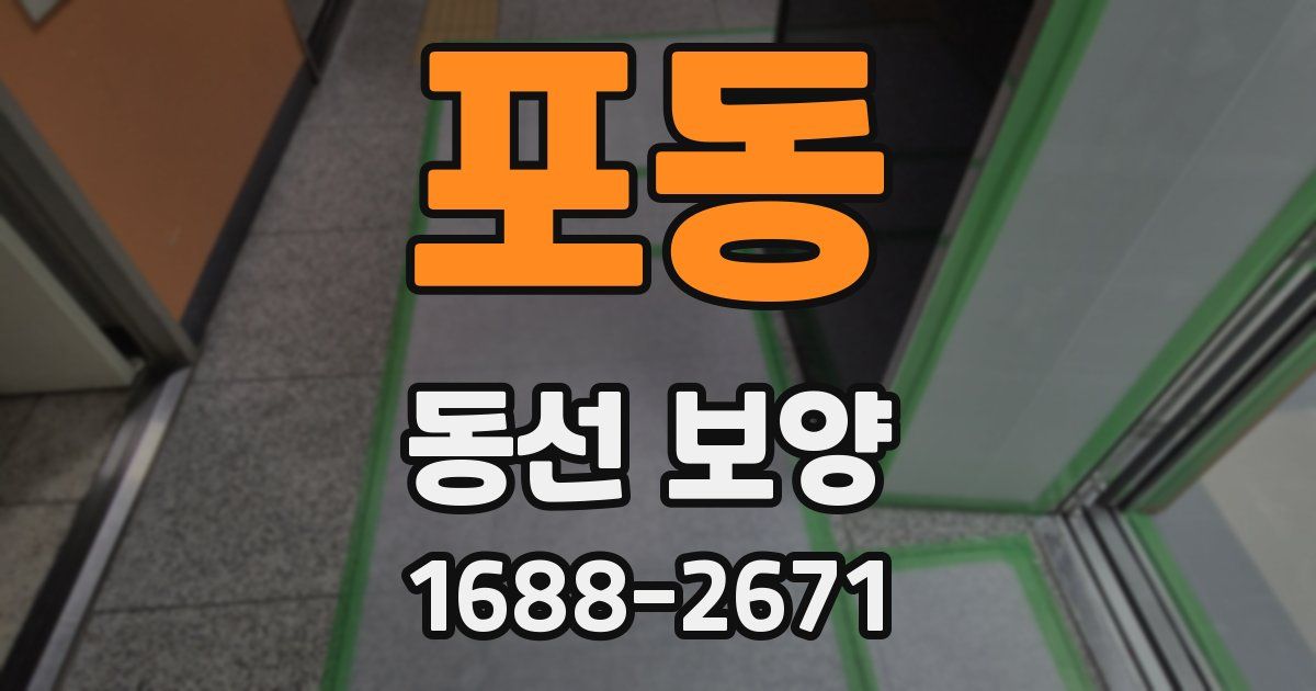 포동 동선 보양
