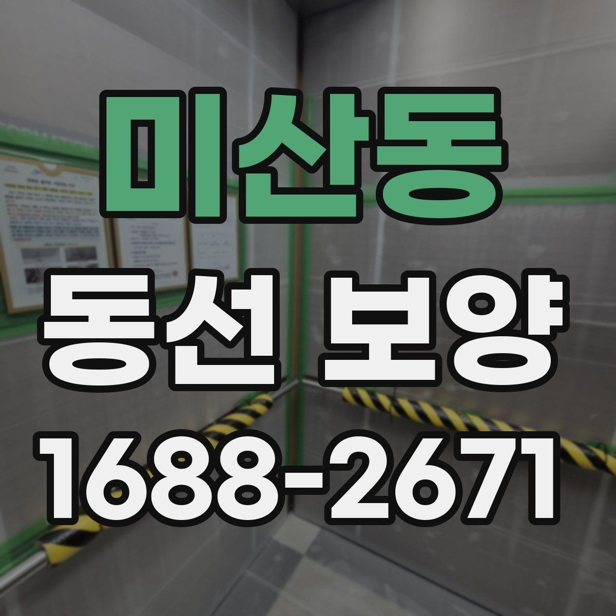 미산동 동선 보양 업체를 볼 때 확인할 기준