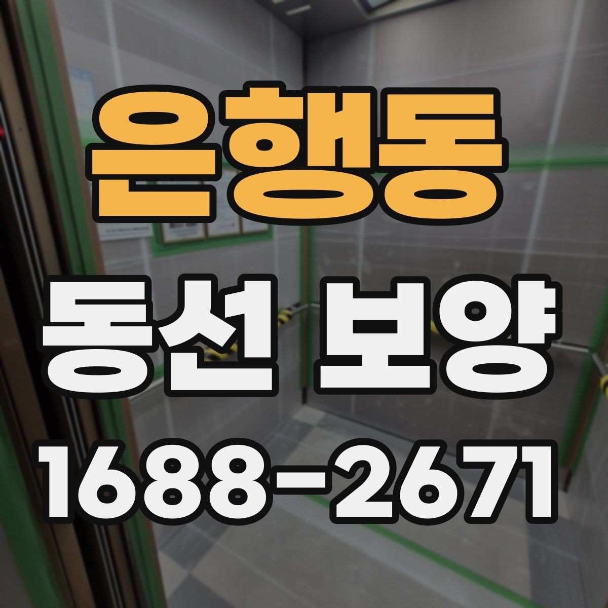 은행동 동선 보양 작업을 진행할 때 주의할 점
