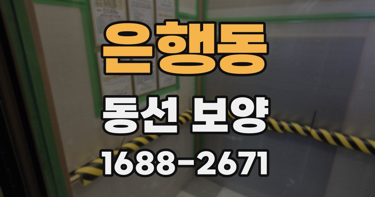 은행동 동선 보양