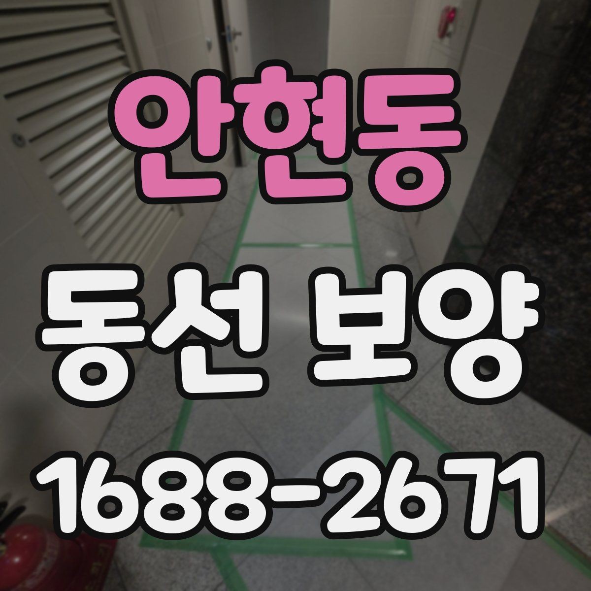안현동 동선 보양 작업 순서와 준비 단계