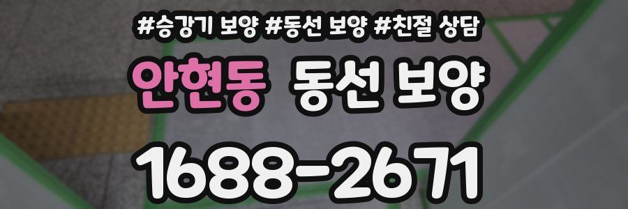 안현동 동선 보양