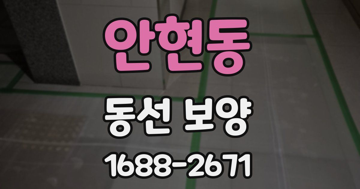 안현동 동선 보양
