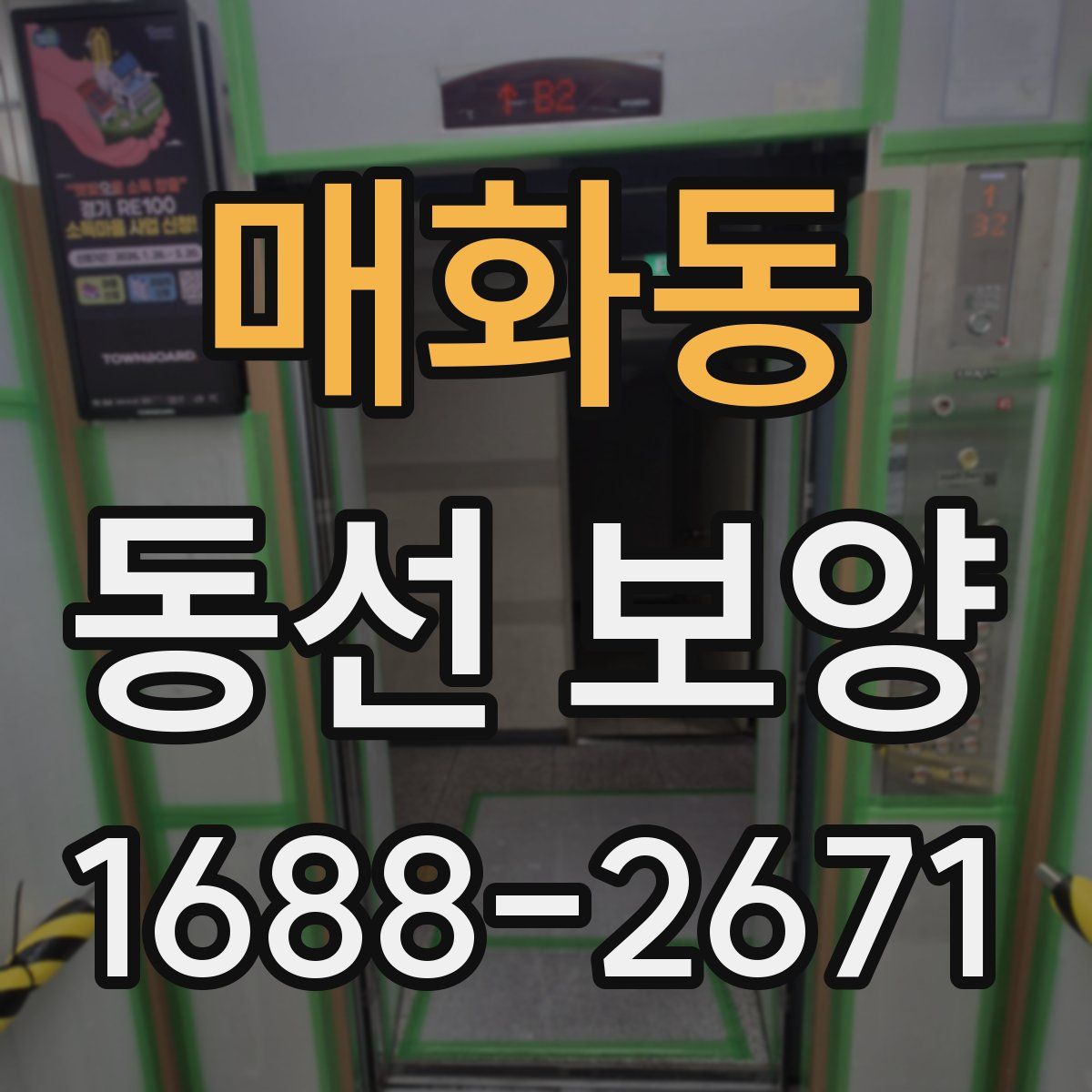 매화동 동선 보양
