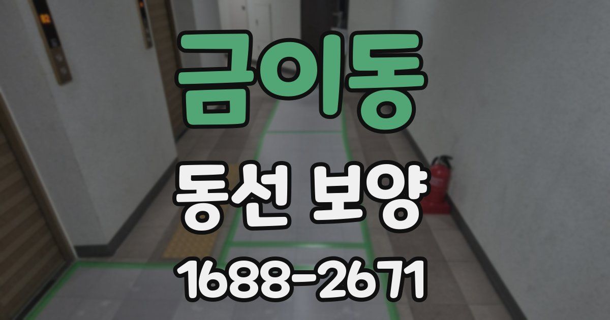 금이동 동선 보양