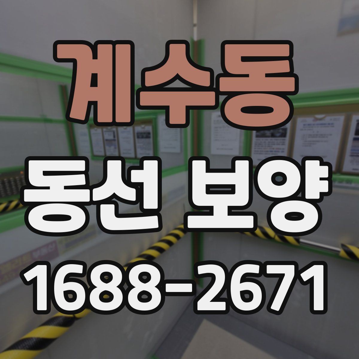 계수동 동선 보양 작업의 핵심은 어디에 있을까