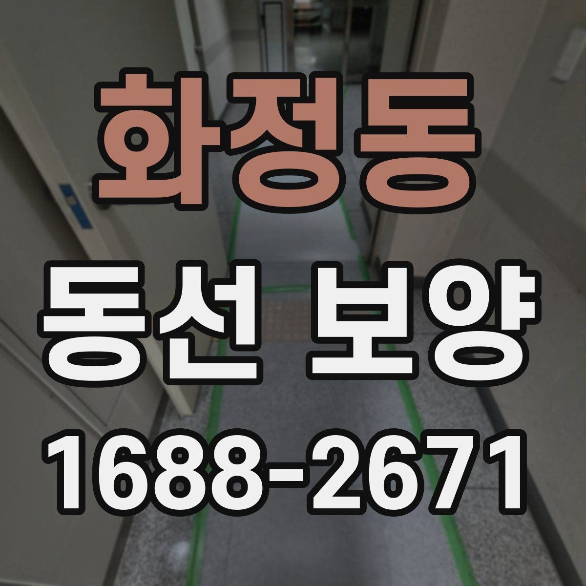 화정동 동선 보양 과정에서 발생할 수 있는 문제