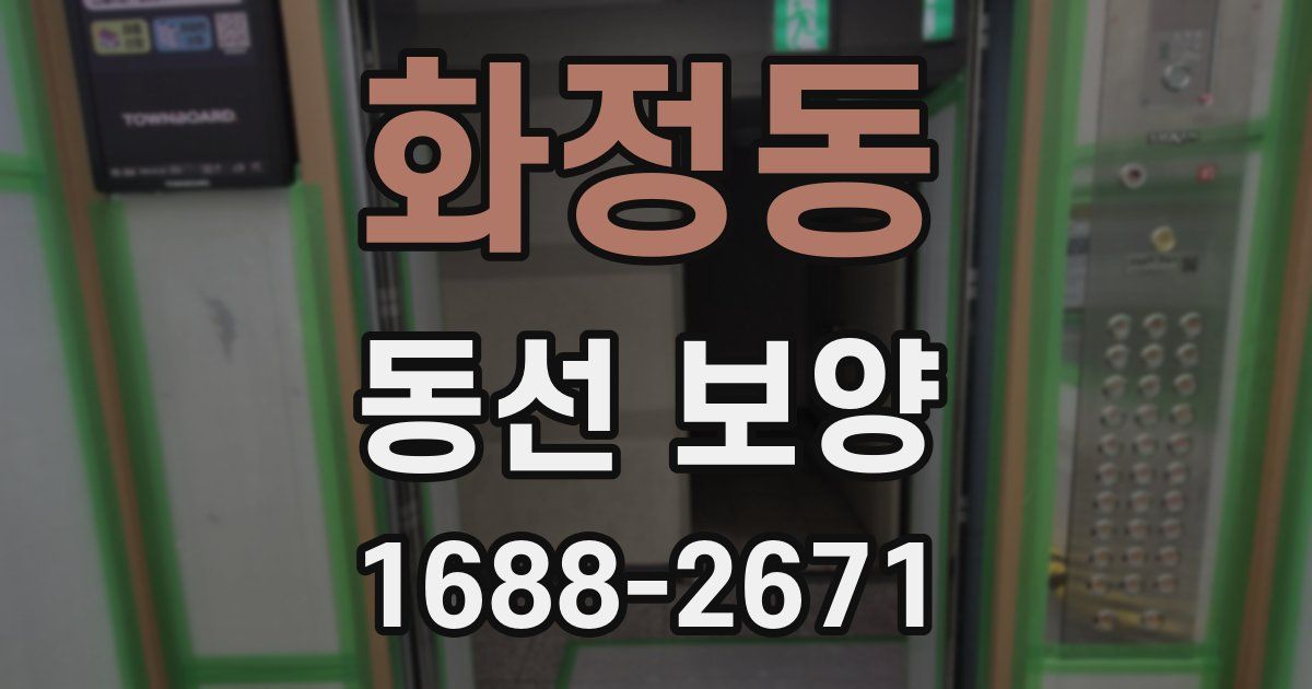 화정동 동선 보양