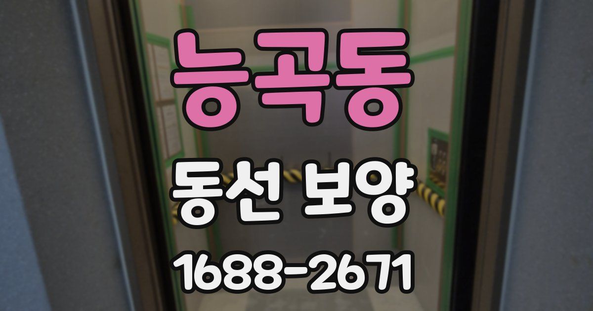 능곡동 동선 보양