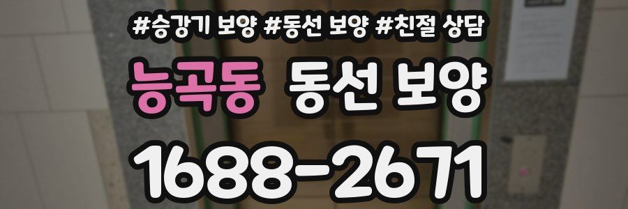 능곡동 동선 보양