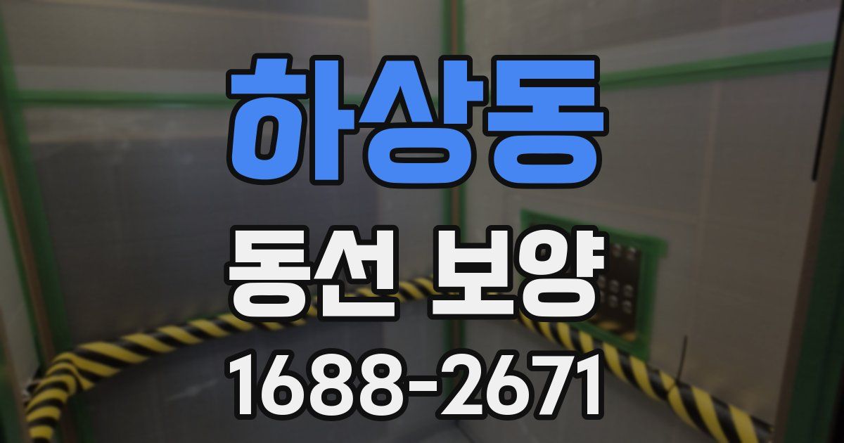 하상동 동선 보양