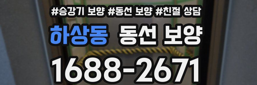 하상동 동선 보양