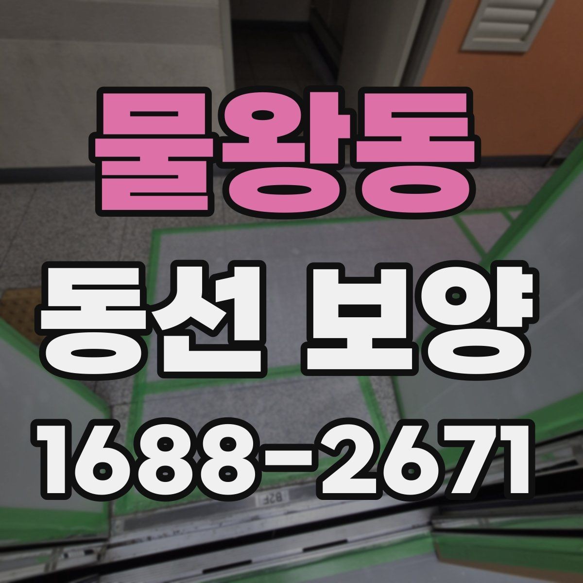 물왕동 동선 보양 현장에서 발생하는 변수와 대처