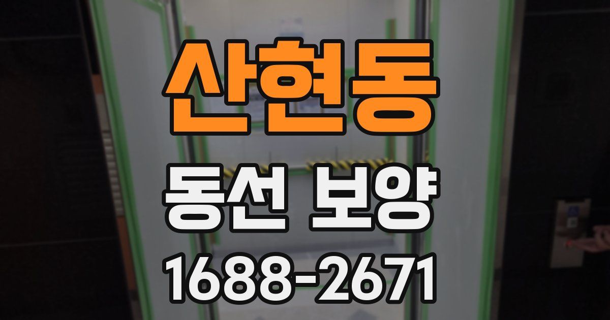 산현동 동선 보양