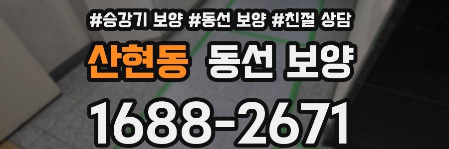 산현동 동선 보양