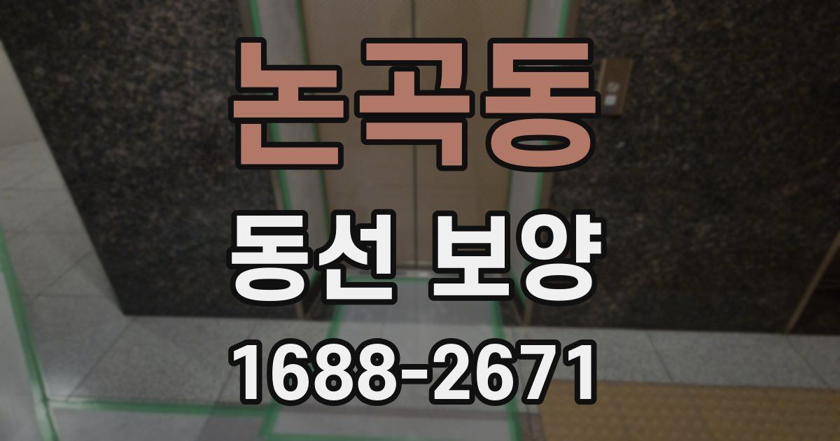 논곡동 동선 보양
