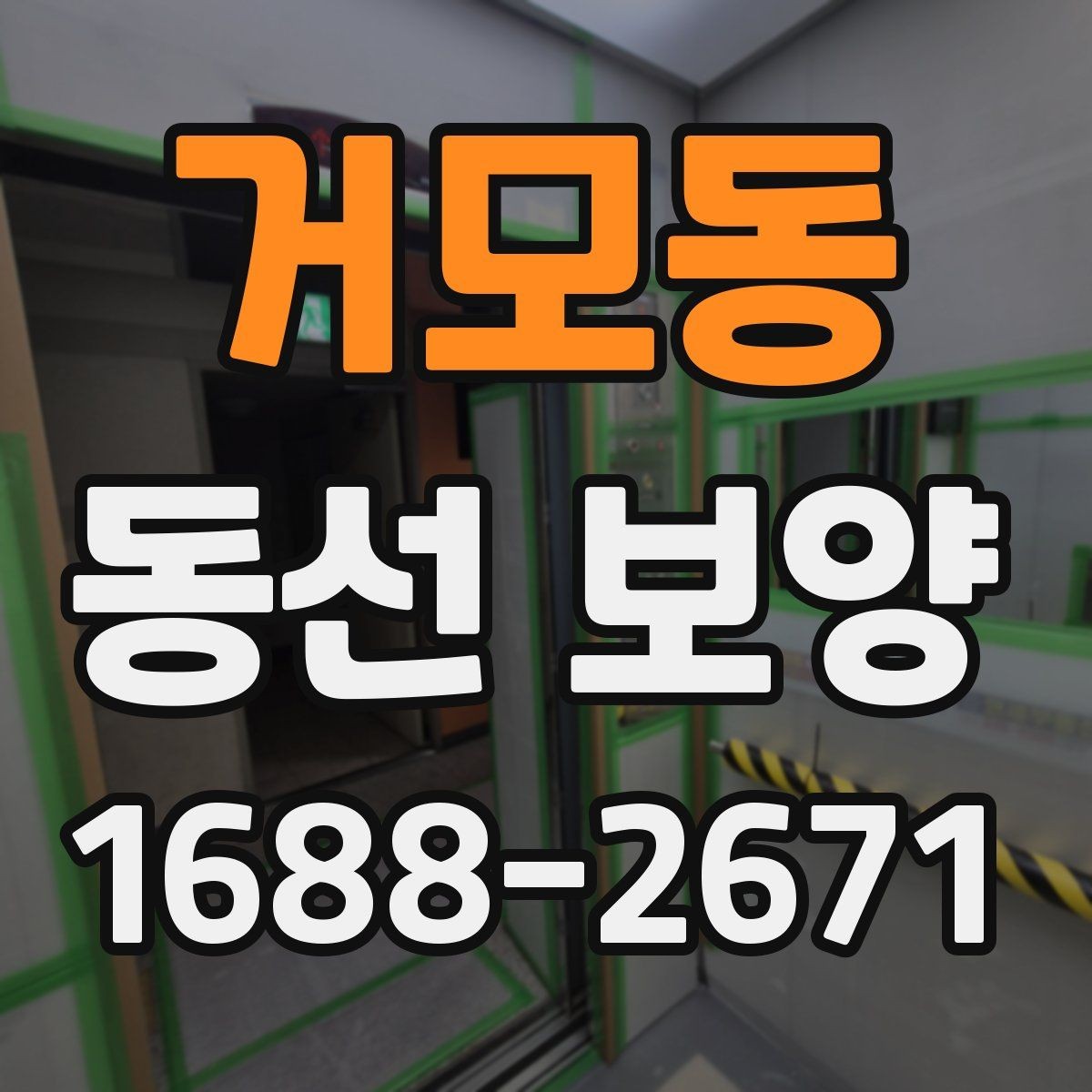 거모동 동선 보양 작업에서 품질 차이를 만드는 요인