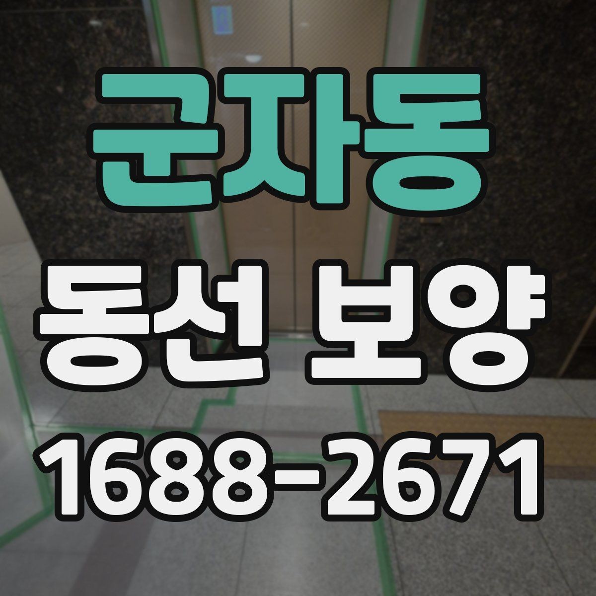 군자동 동선 보양 작업의 효과를 높이는 현장 정비