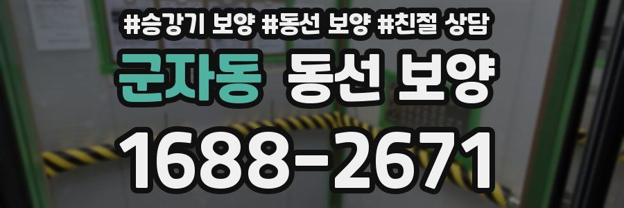 군자동 동선 보양