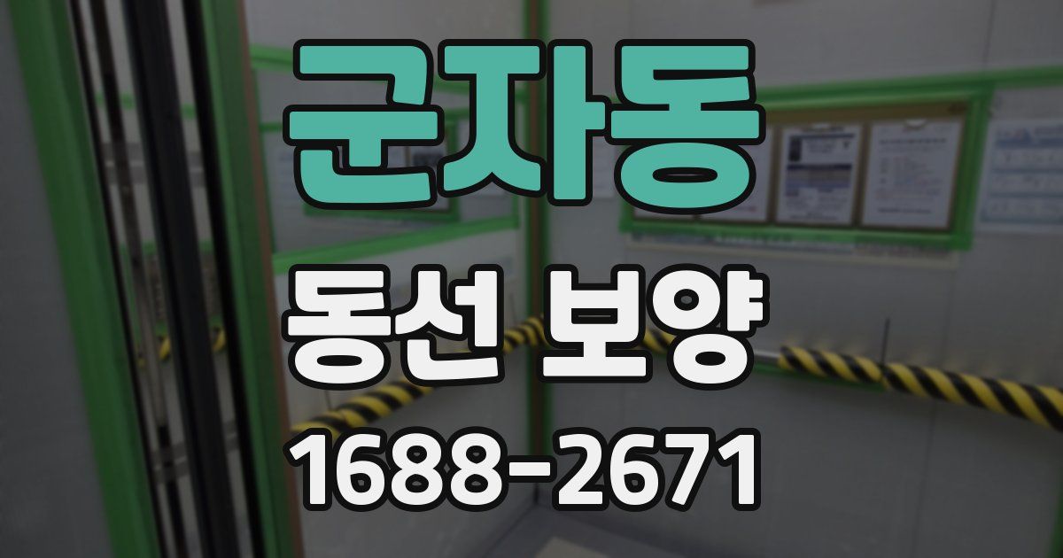 군자동 동선 보양