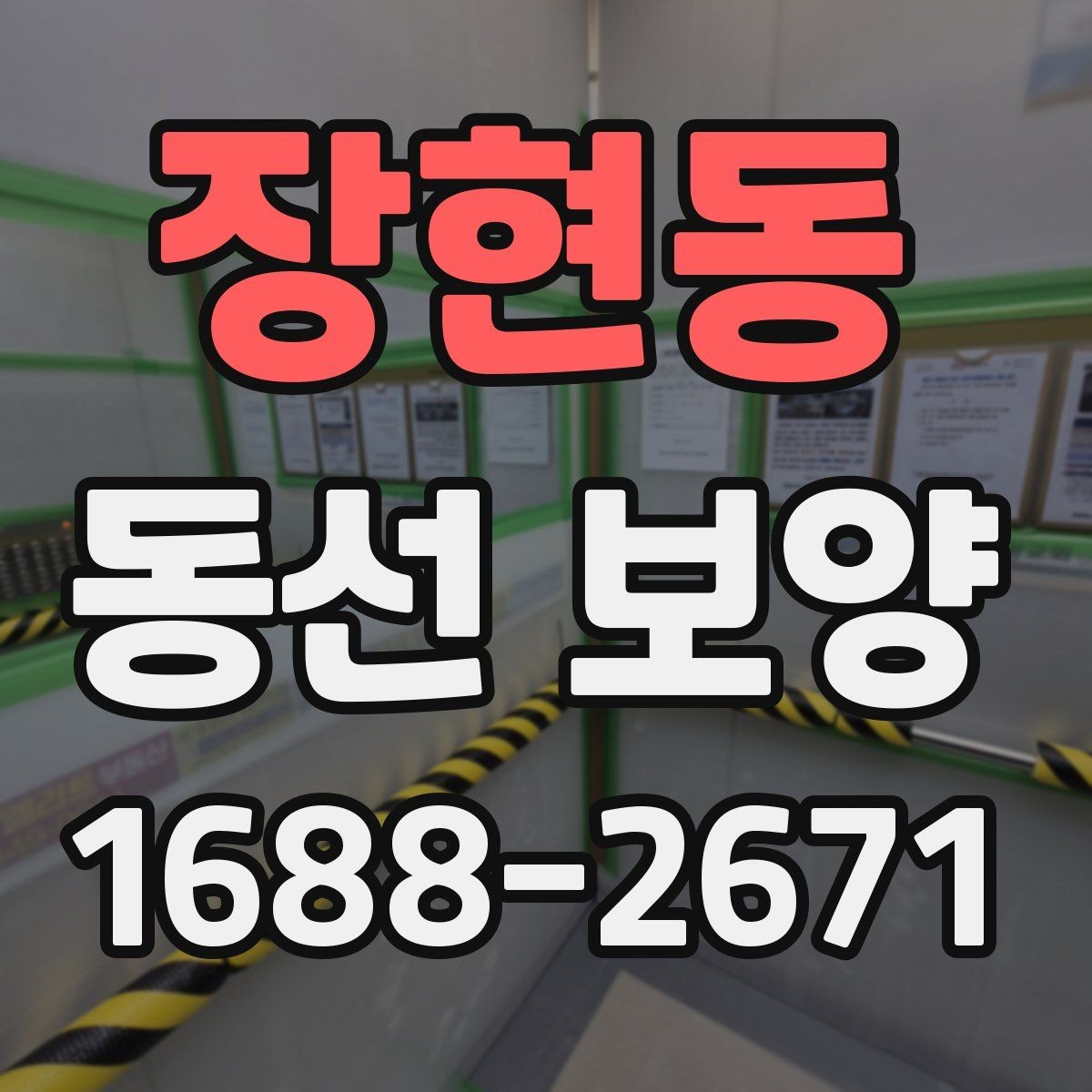 장현동 동선 보양 작업에서 흔히 발생하는 문제