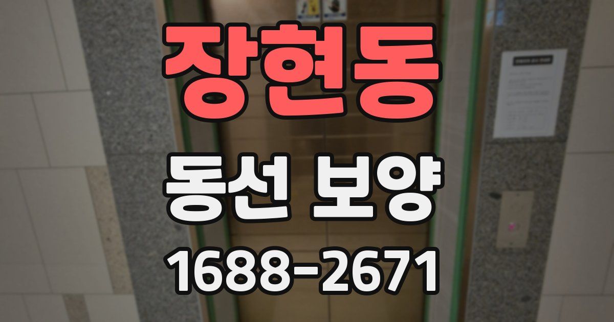 장현동 동선 보양