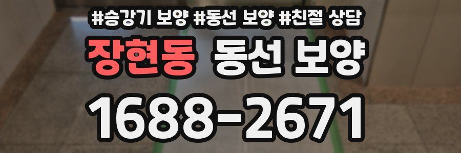 장현동 동선 보양