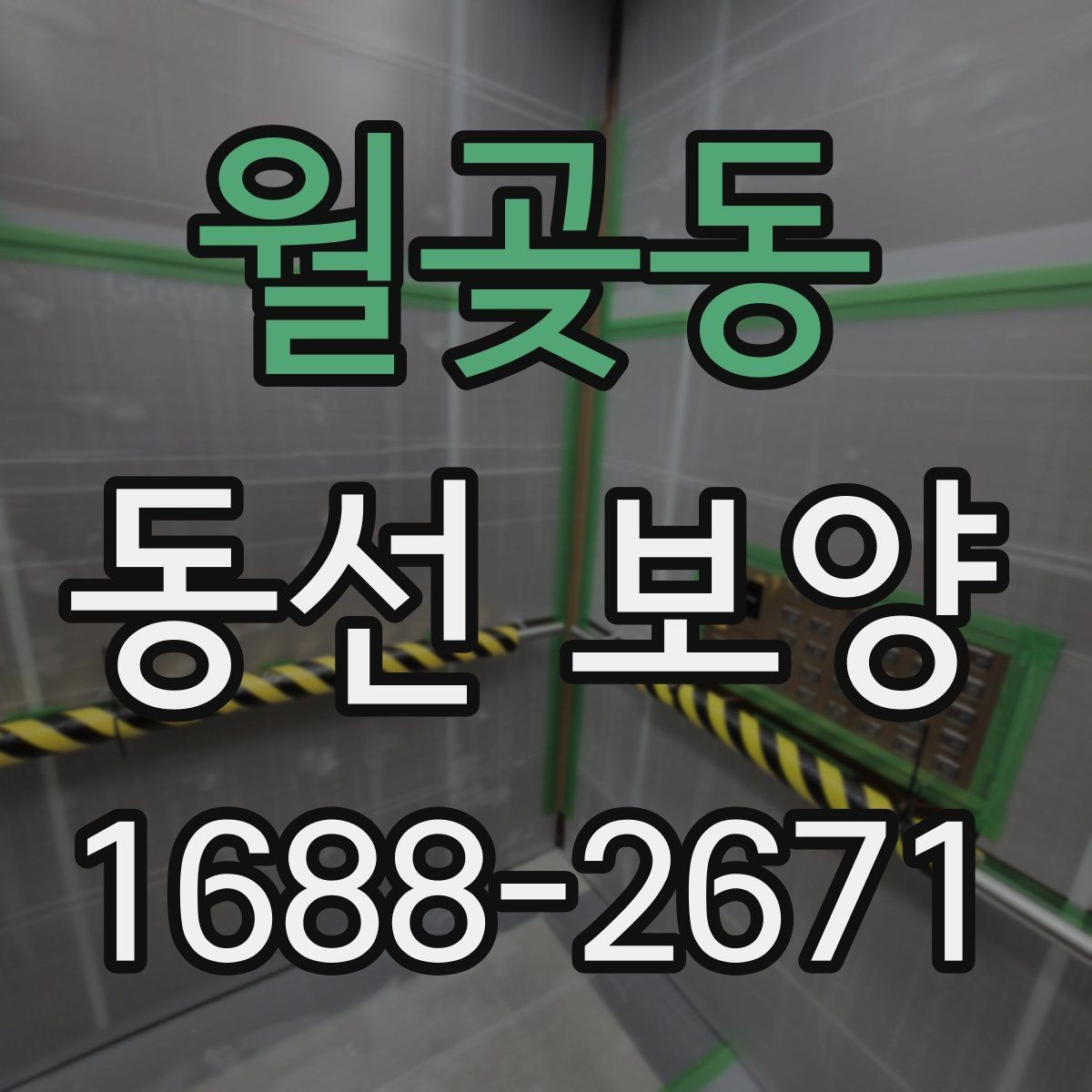 월곶동 동선 보양 비용과 품질의 균형 잡기