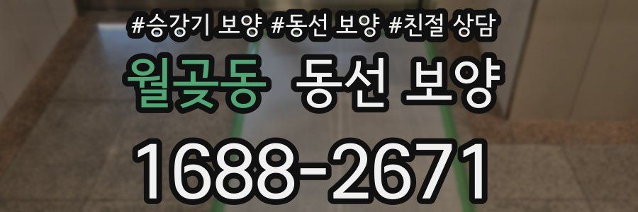 월곶동 동선 보양