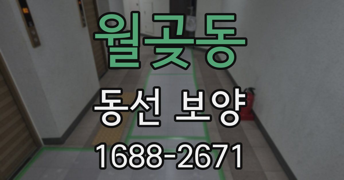 월곶동 동선 보양